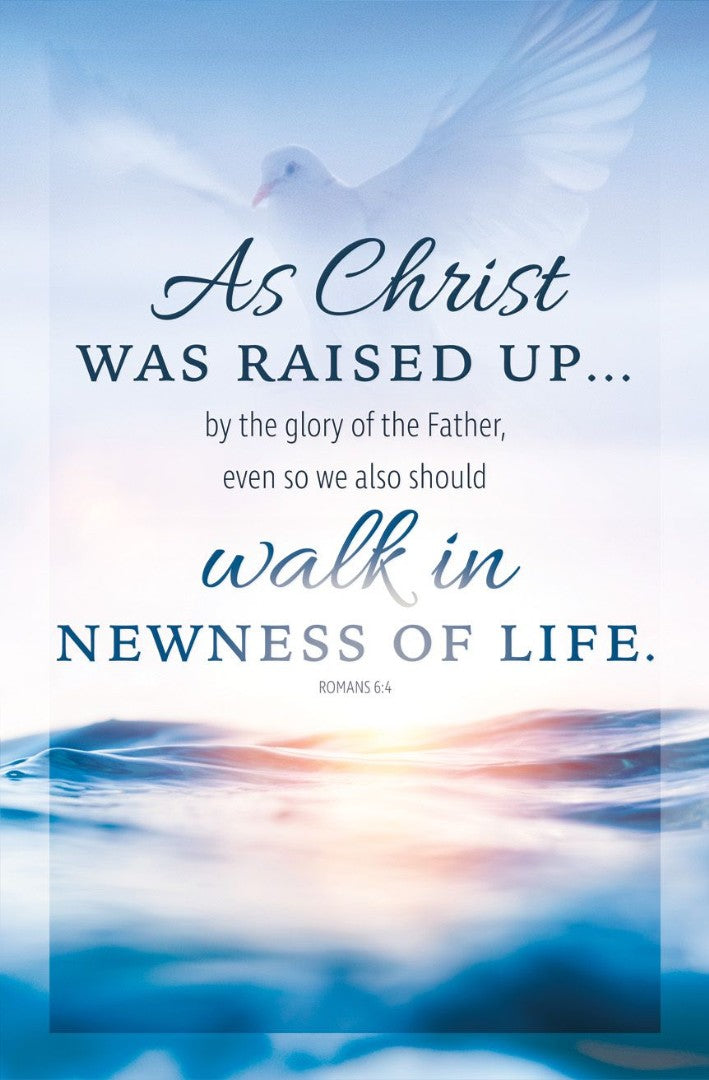 Walk in Newness of Life Bulletin (pack of 100) - Re-vived