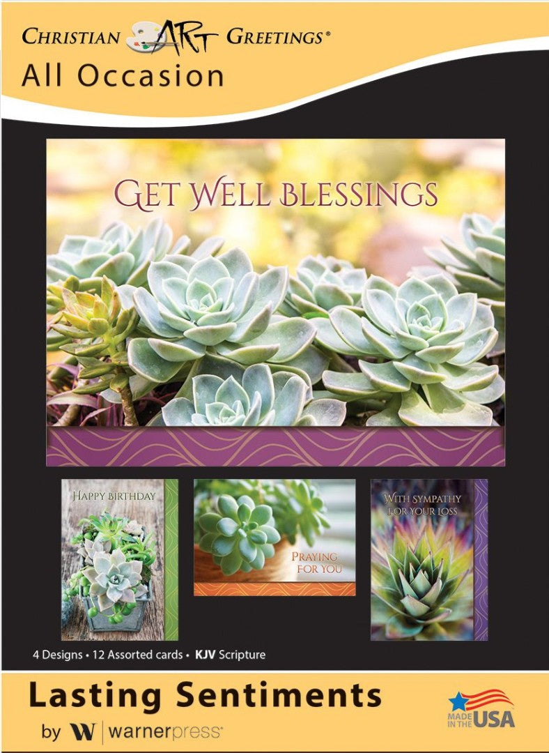 Lasting Sentiments Boxed Cards (pack of 12) - Re-vived
