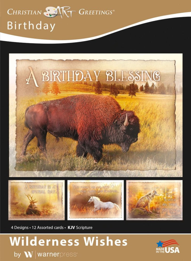 Wilderness Wishes Birthday Boxed Cards (pack of 12) - Re-vived