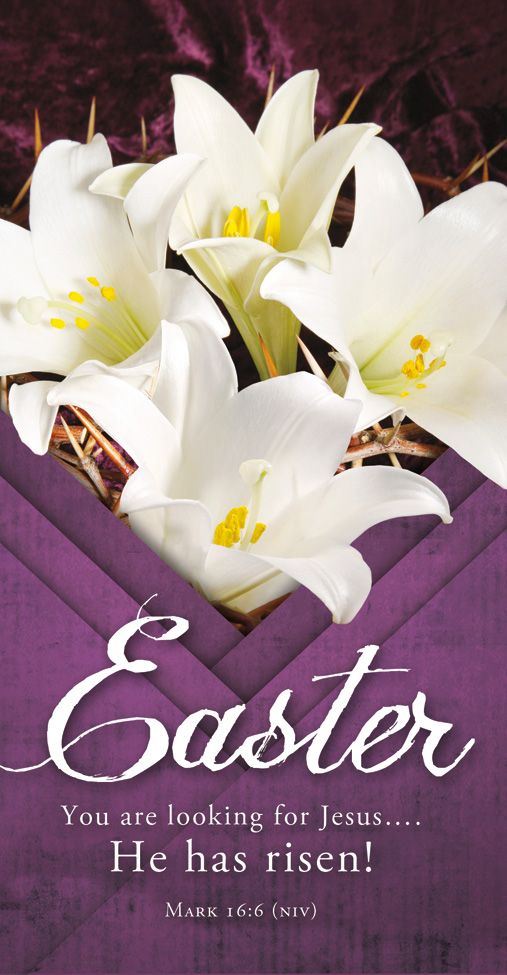 You are Looking for Jesus Easter Offering Envelope (100) - Re-vived
