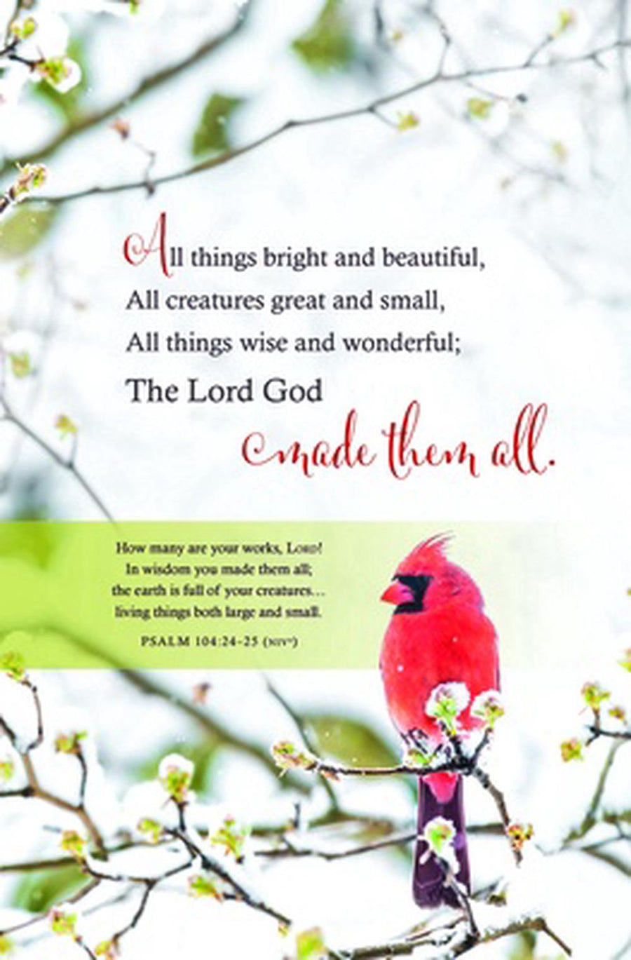 All Things Bright and Beautiful Bulletin (pack of 100) - Re-vived