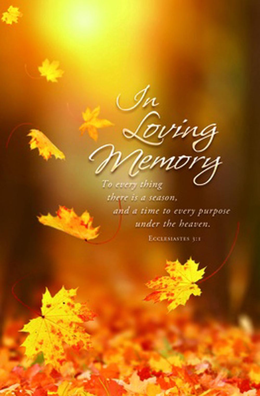 To Every Thing Bulletin (pack of 100) - Re-vived