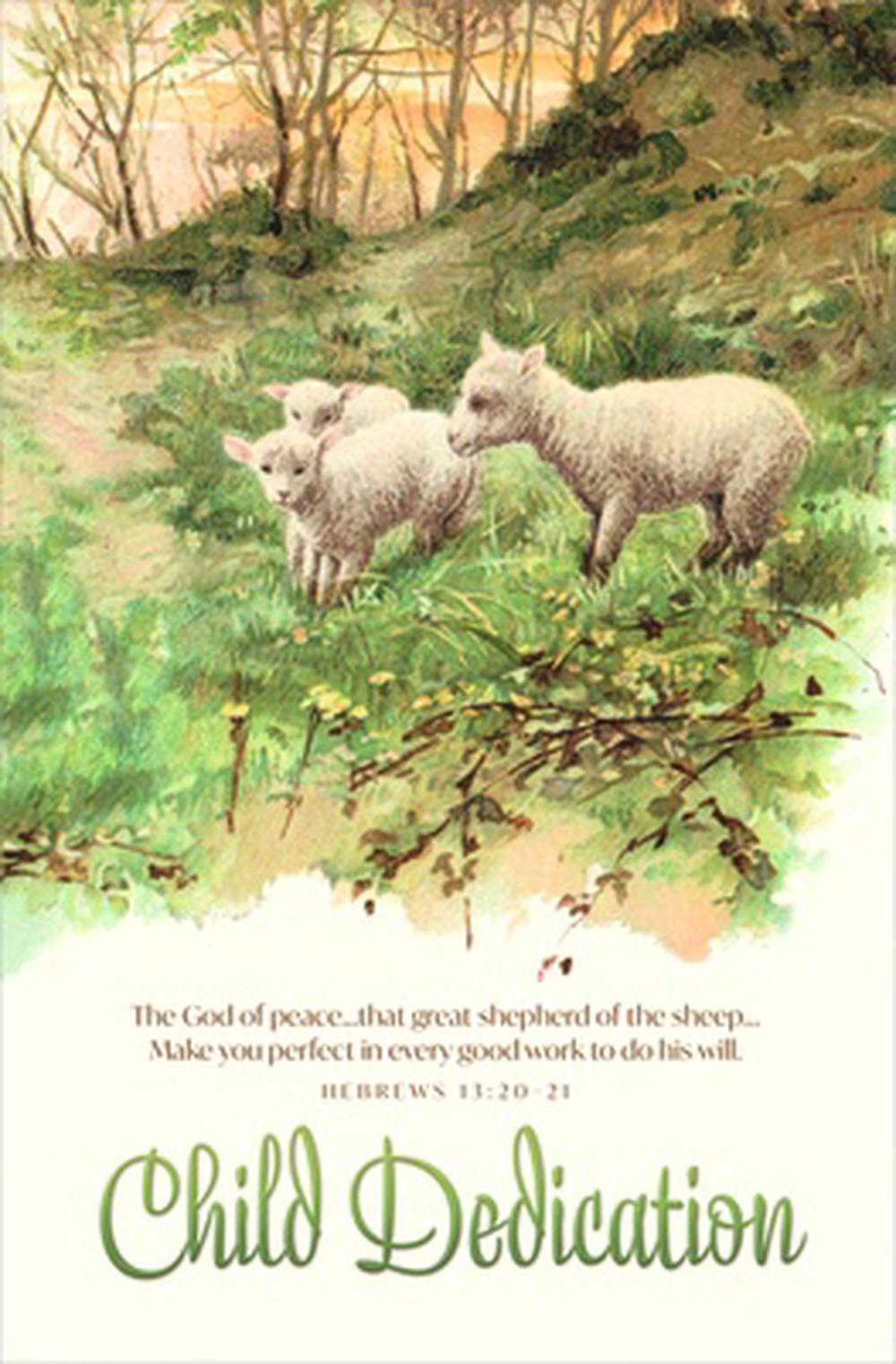 God of Peace Dedication Bulletin (pack of 100) - Re-vived