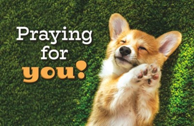 Praying for you! Postcard (pack of 25) - Re-vived