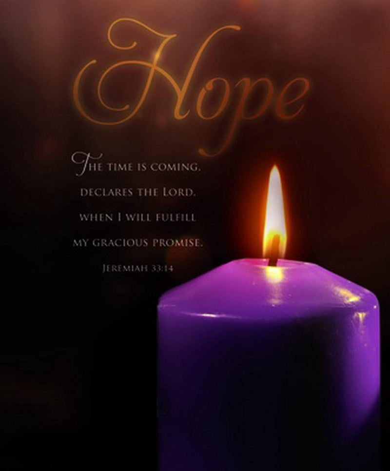 Hope Scripture Advent Large Bulletin (pack of 100)