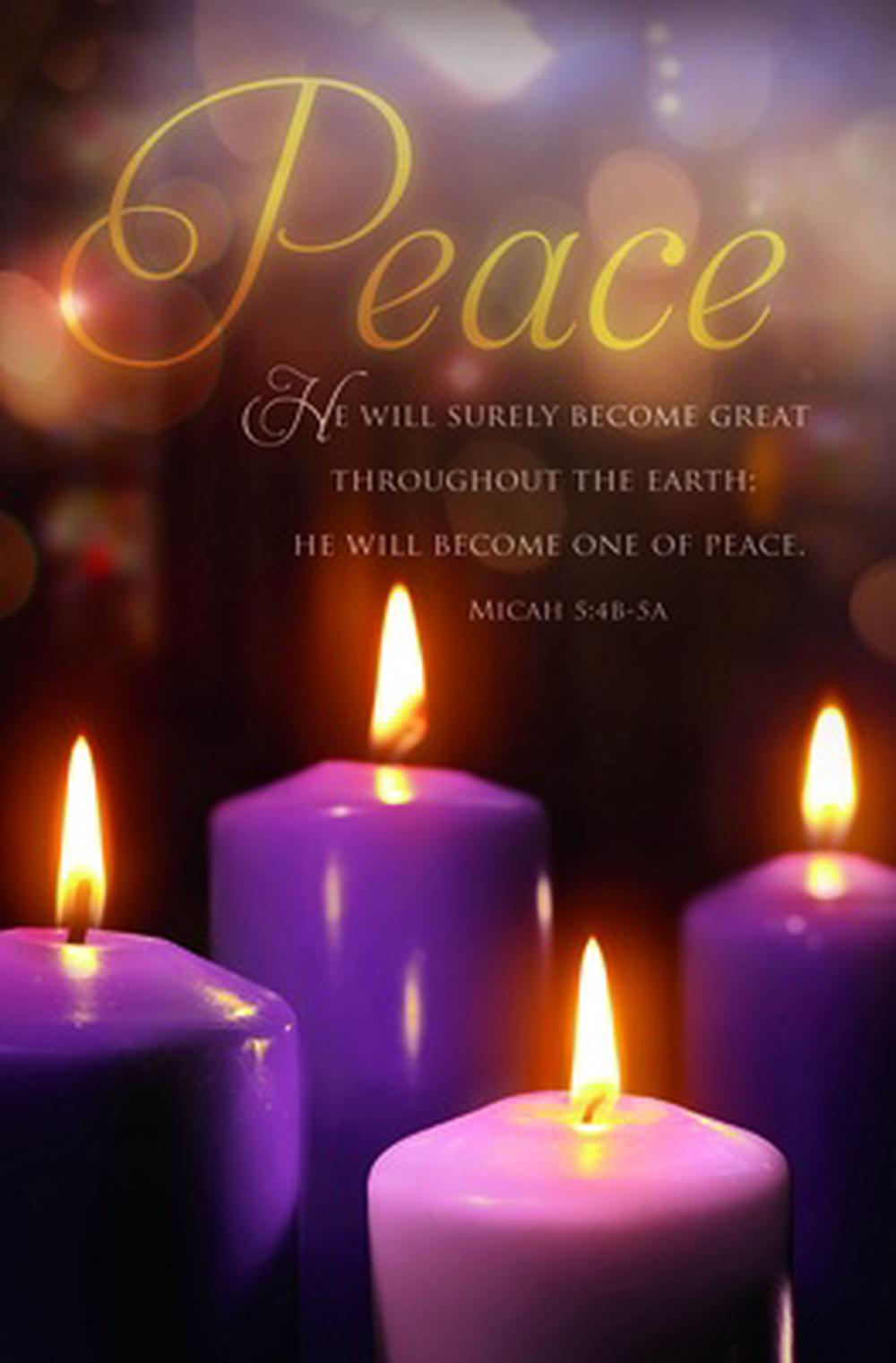 Peace Scripture Bulletin (pack of 100) - Re-vived