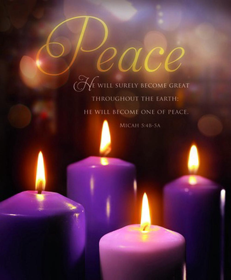 Peace Scripture Advent Large Bulletin (pack of 100)