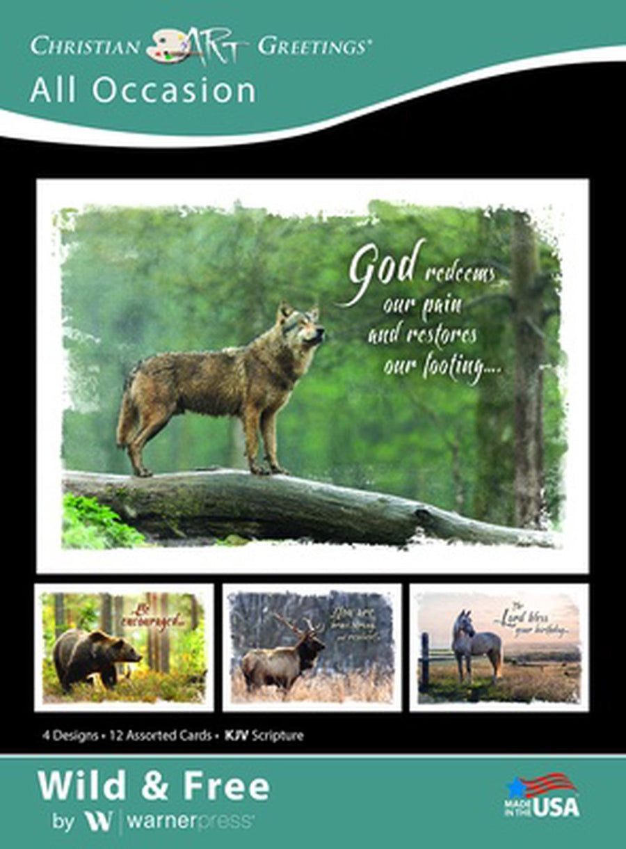 Wild & Free All Occasion Boxed Cards (box of 12) - Re-vived