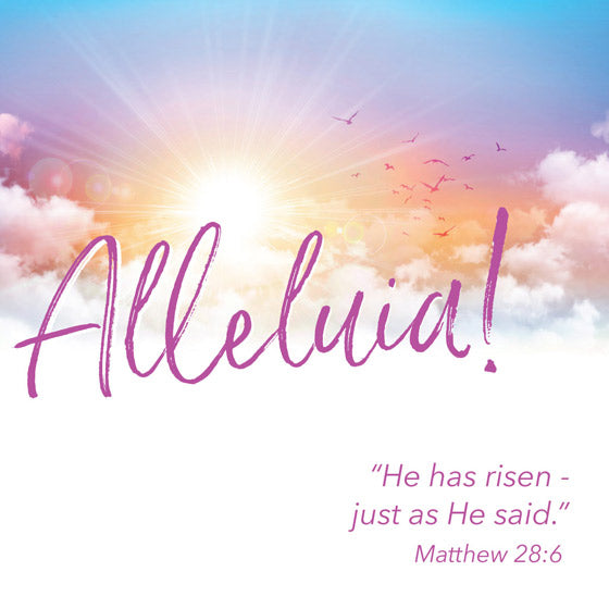 Alleluia Easter Cards (pack of 5)
