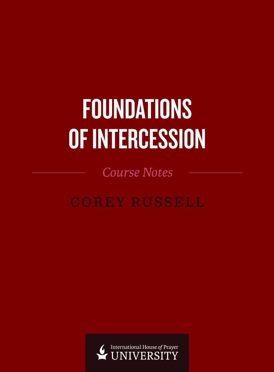 Foundations Of Intercession Course Notes Paperback - Re-vived