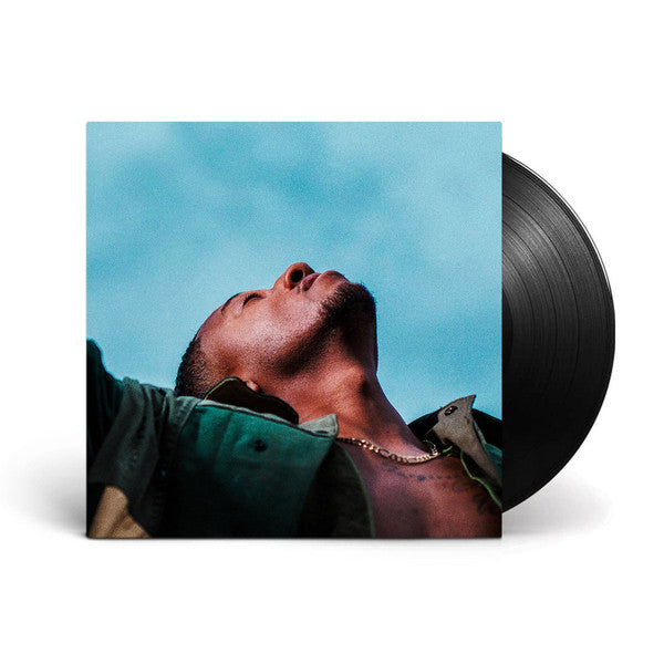 Restoration LP Vinyl - Re-vived