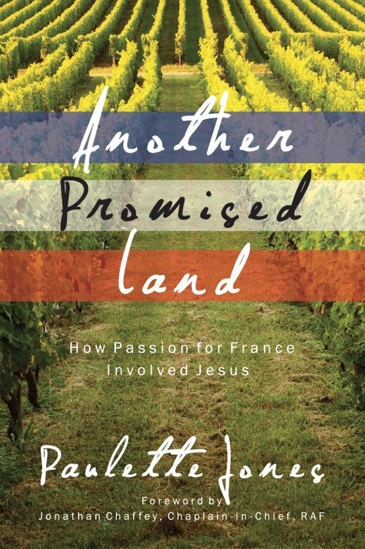 Another Promised Land - Re-vived