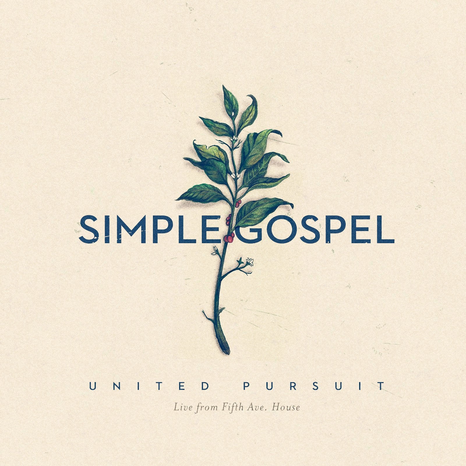 Simple Gospel CD – Re-vived