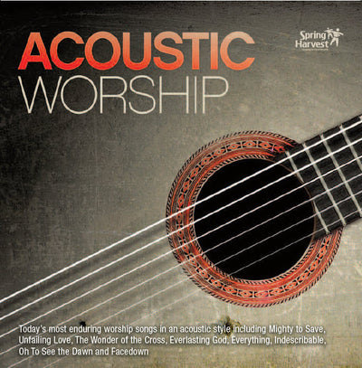 Acoustic Worship - Elevation - Re-vived.com