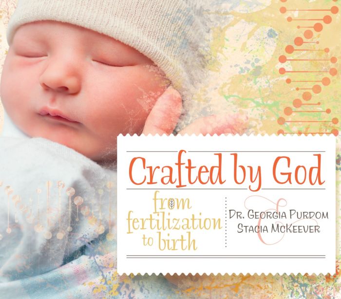 Crafted by God - Re-vived