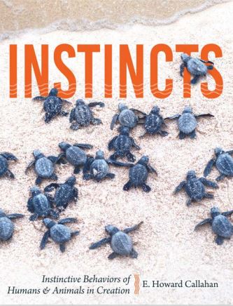 Instincts - Re-vived