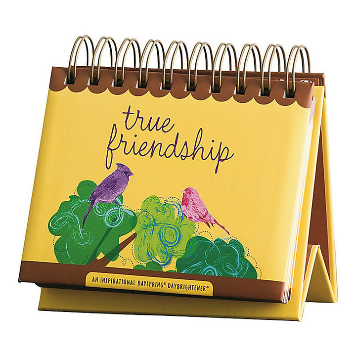 DayBrightener: True Friendship - Re-vived