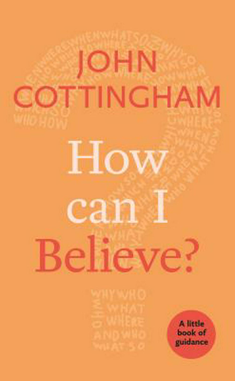 How Can I Believe? - Re-vived