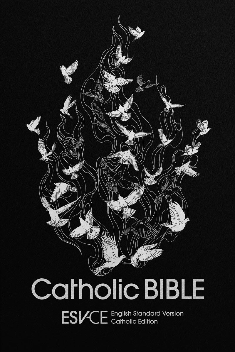 ESV-CE Catholic Bible, Anglicized Gift Edition