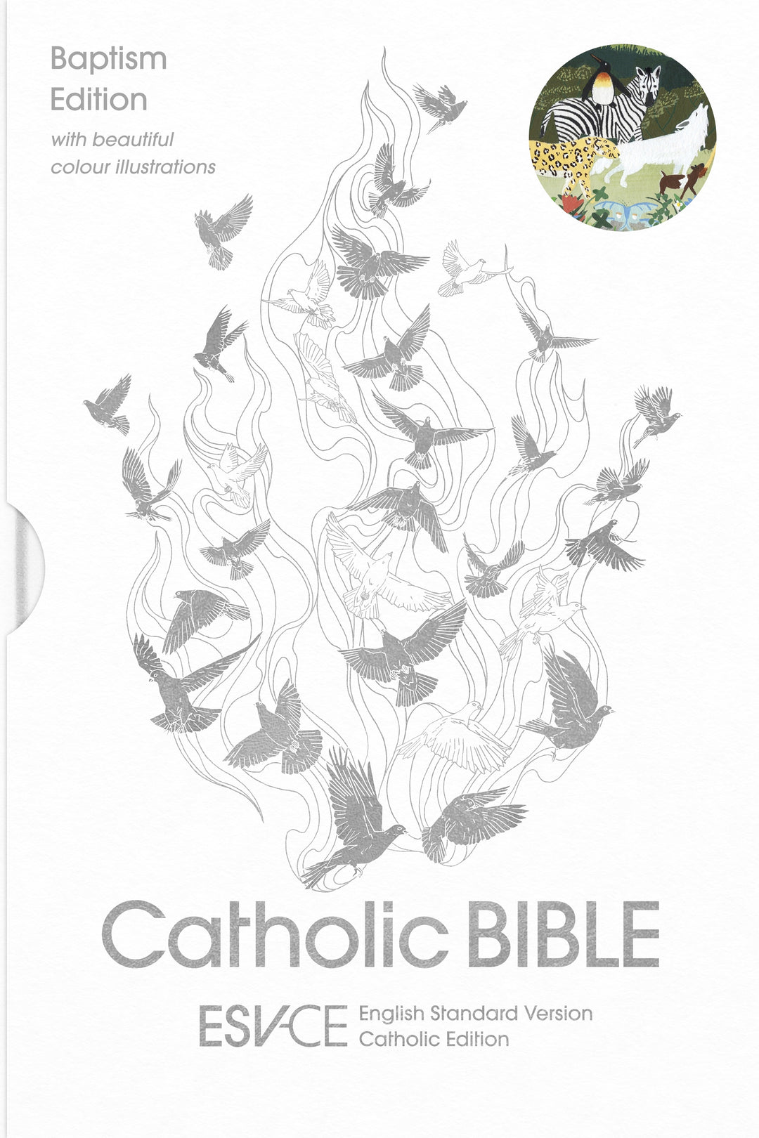 ESV-CE Catholic Bible, Anglicized Baptism Edition - Re-vived