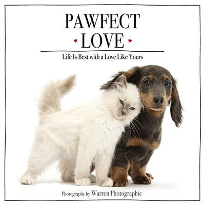 Pawfect Love - Re-vived