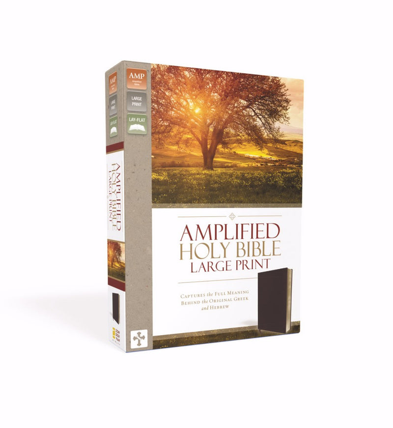 Amplified Holy Bible, Burgundy, Large Print