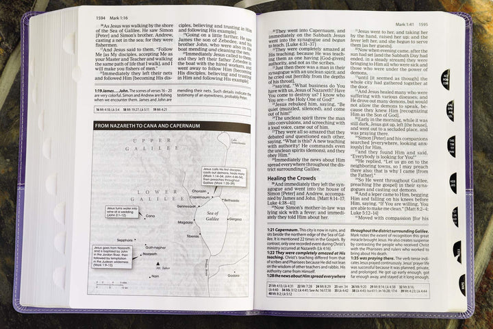 The Amplified Study Bible, Imitation Leather, Purple, Indexed - Re-vived