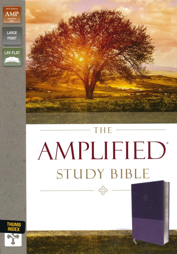 The Amplified Study Bible, Imitation Leather, Purple, Indexed - Re-vived