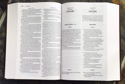 KJV, Amplified, Parallel Bible, Large Print, Hardcover, Red Letter Edition:
