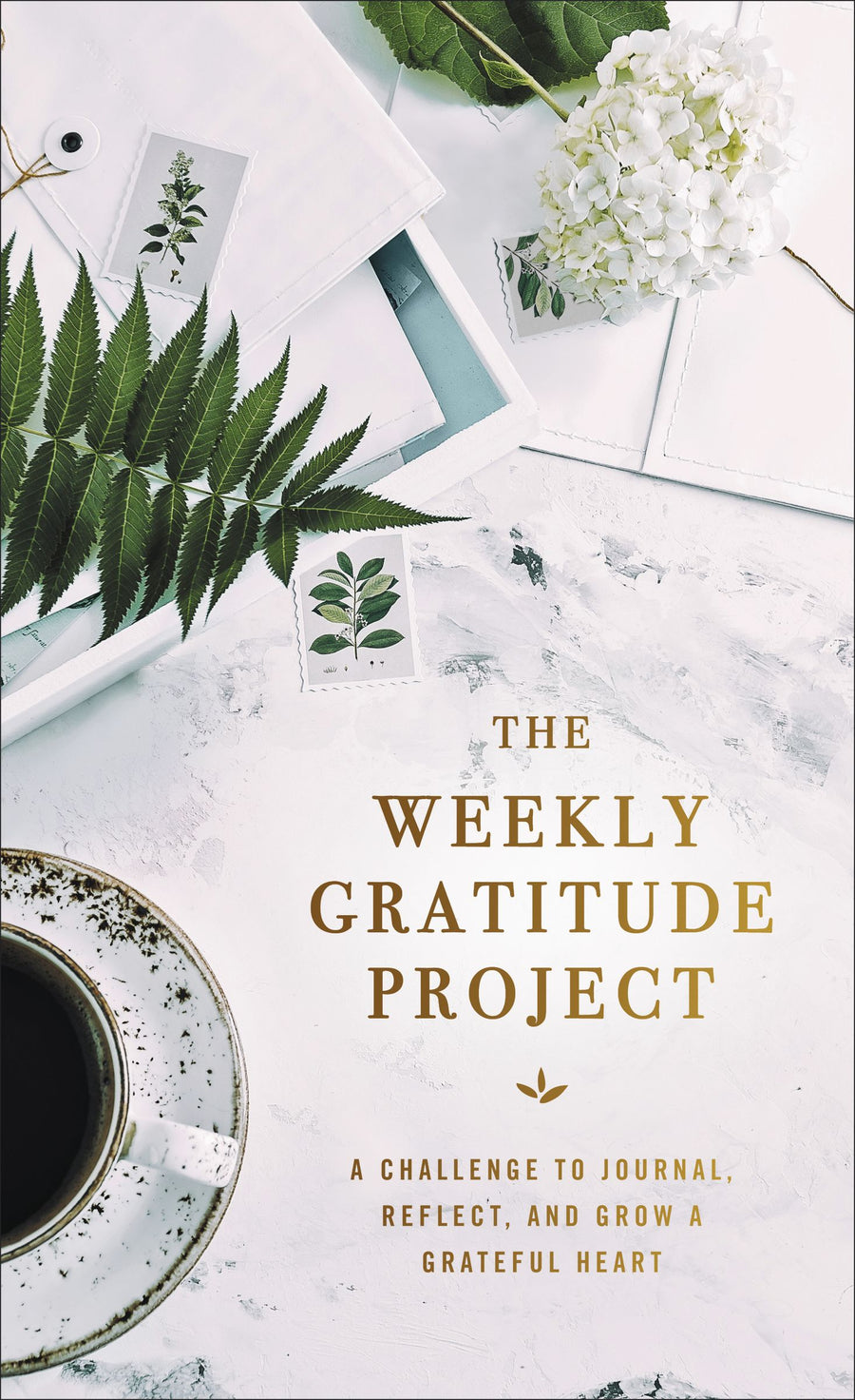 The Weekly Gratitude Project - Re-vived