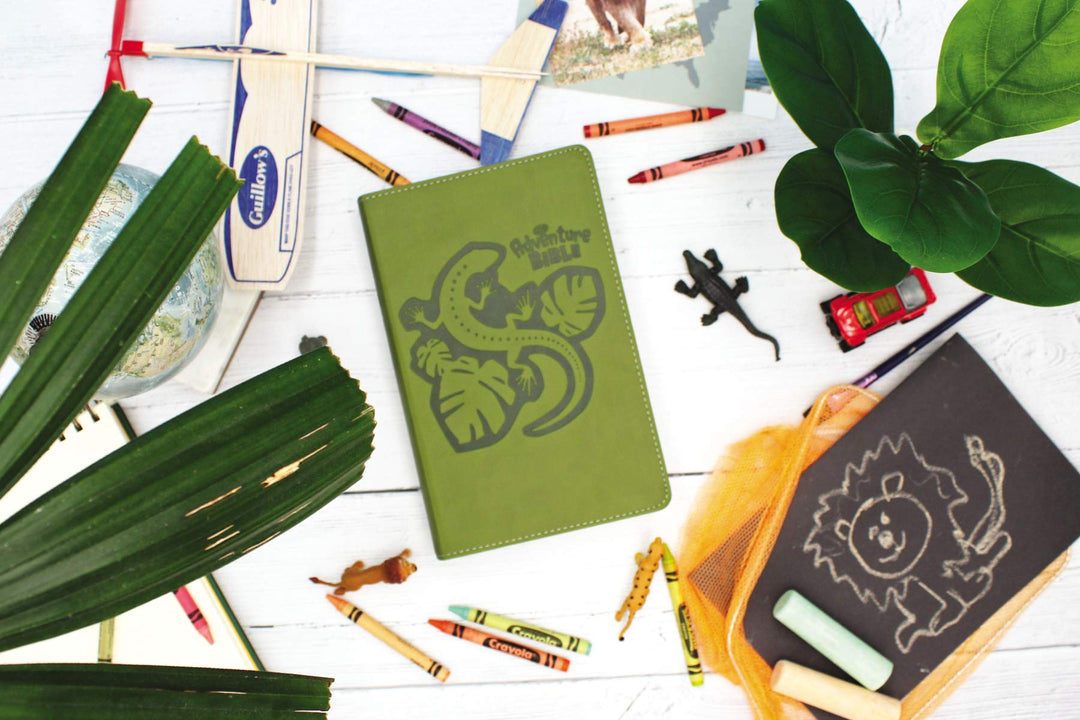 NIRV Adventure Bible For Early Readers - Re-vived
