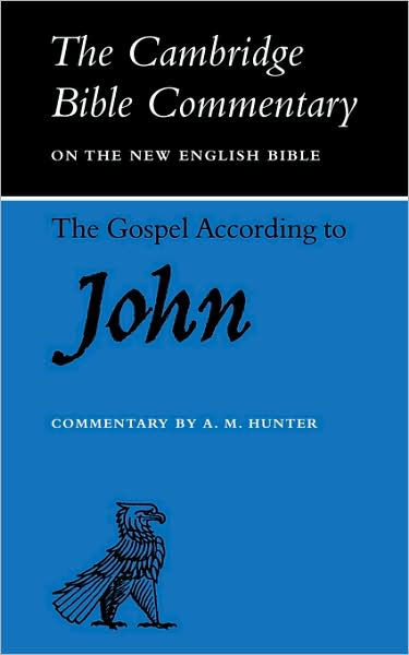 The Gospel According To John - Re-vived