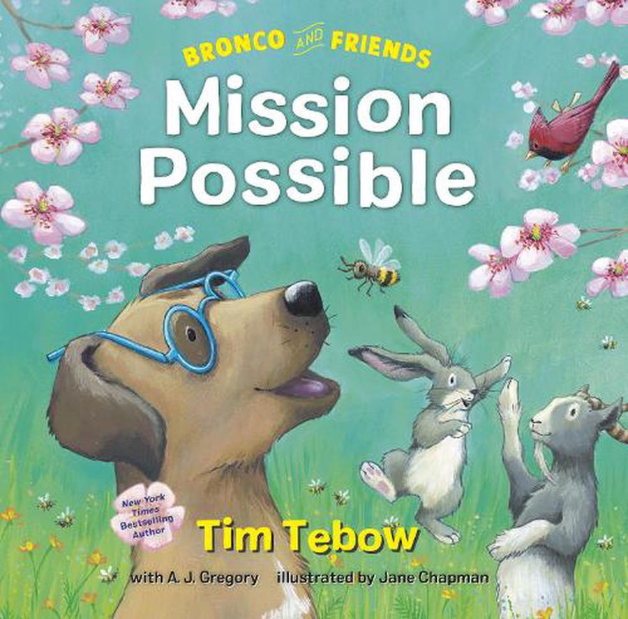 Bronco and Friends: Mission Possible - Re-vived