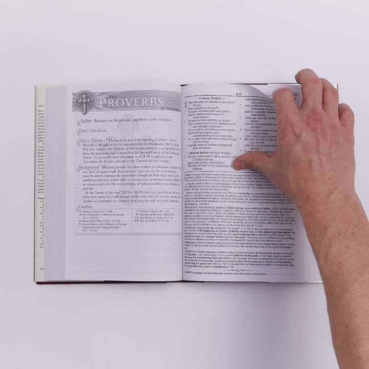 The Orthodox Study Bible - Re-vived