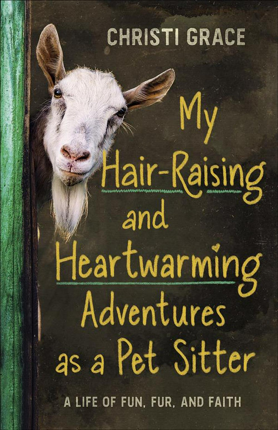 My Hair-Raising and Heartwarming Adventures as a Pet Sitter - Re-vived