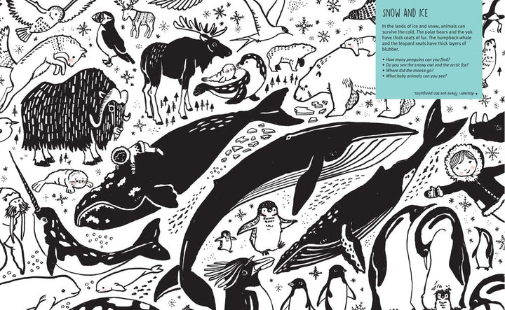 Rhino and Narwhal - Re-vived