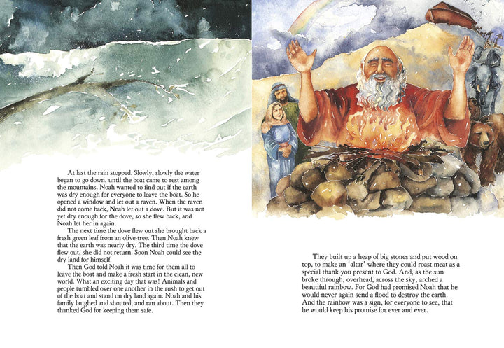 The Lion Children's Bible Gift Edition - Re-vived