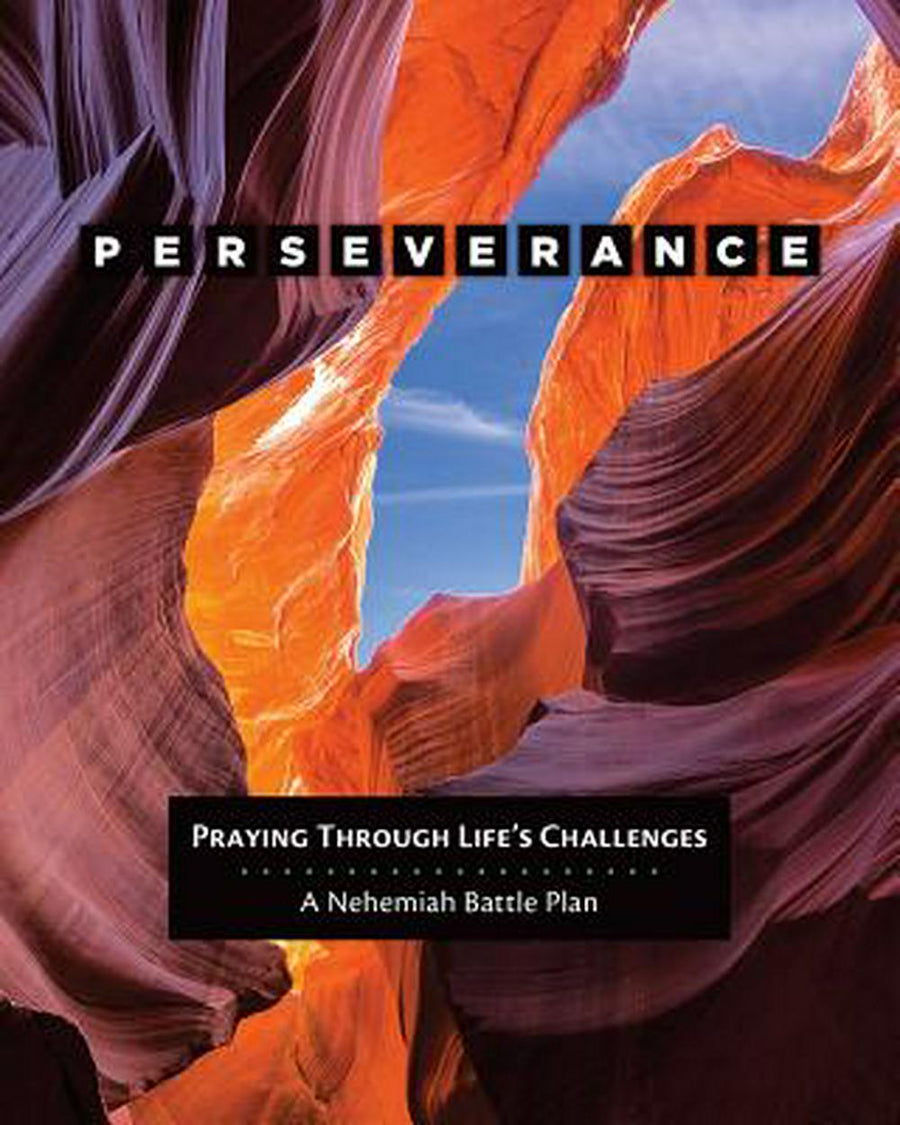 Perseverance - Re-vived