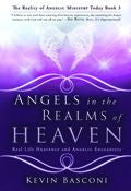 Angels In The Realms Of Heaven Paperback Book - Kevin Basconi - Re-vived.com