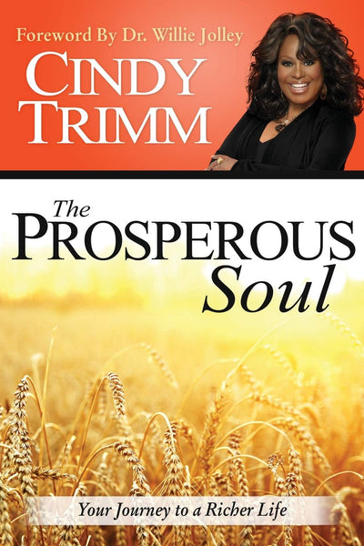 The Prosperous Soul Paperback - Re-vived