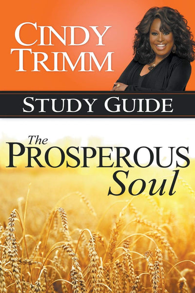 The Prosperous Soul Study Guide Paperback - Re-vived