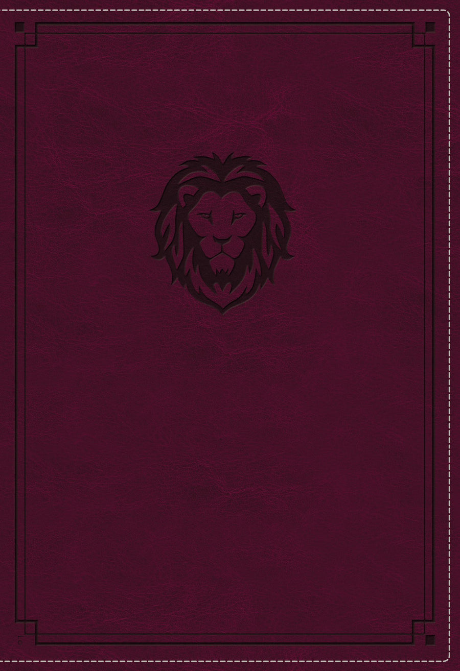 NKJV Thinline Bible, Youth Edition, Burgundy, Red Letter - Re-vived