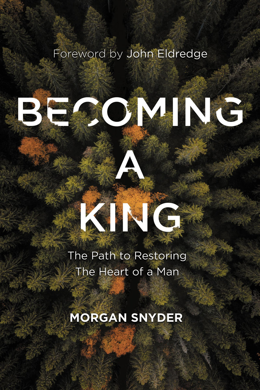 Becoming a King - Re-vived
