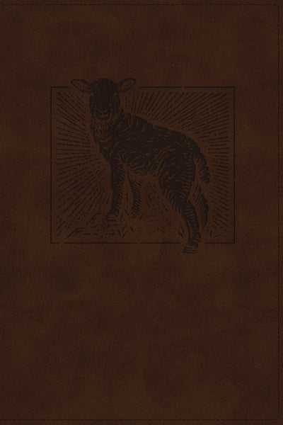 NET Bible Thinline Art Edition, Large Print, Brown