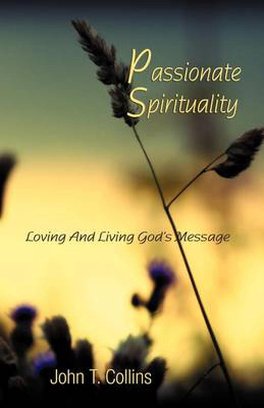 Passionate Spirituality - Re-vived