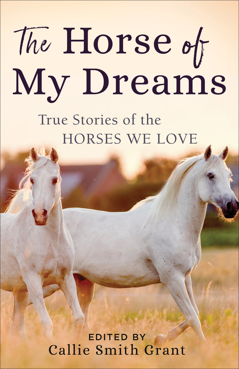 The Horse of My Dreams - Re-vived