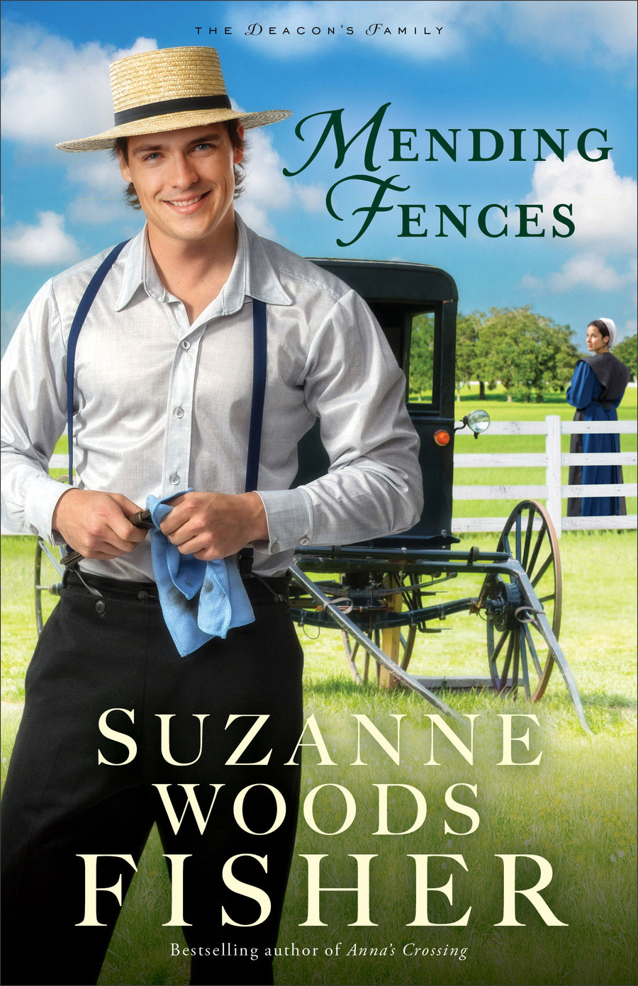 Mending Fences - Re-vived