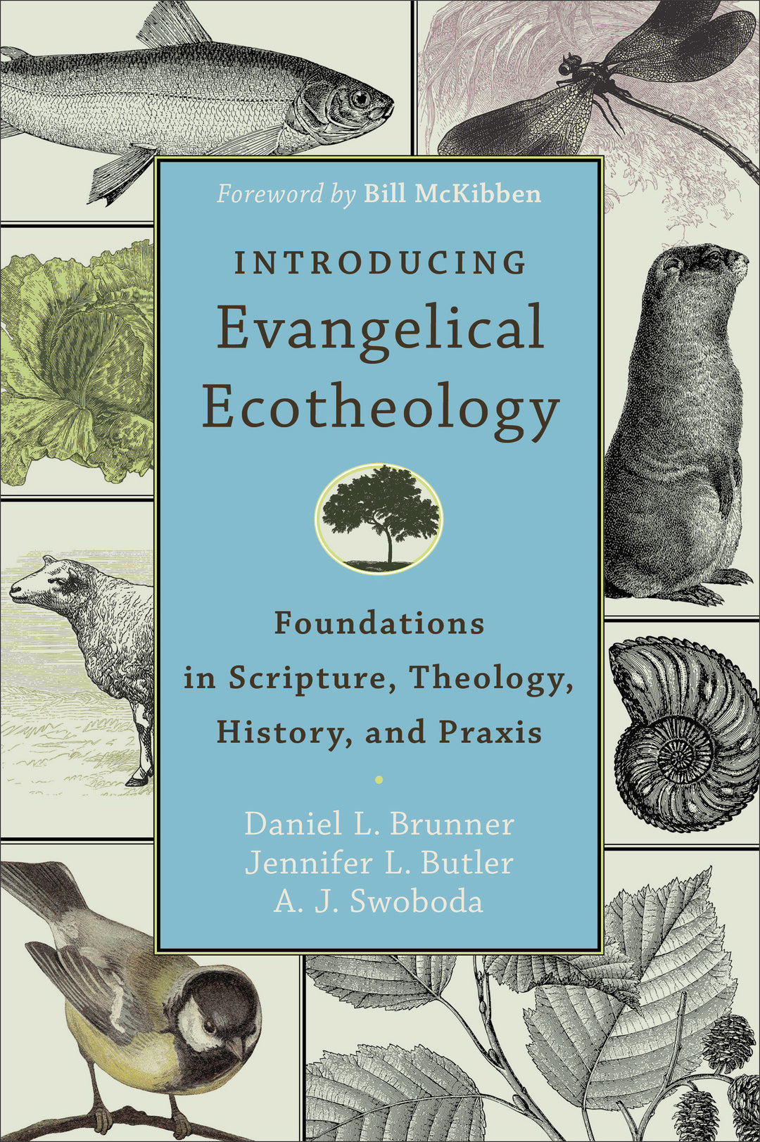 Introducing Evangelical Ecotheology - Re-vived