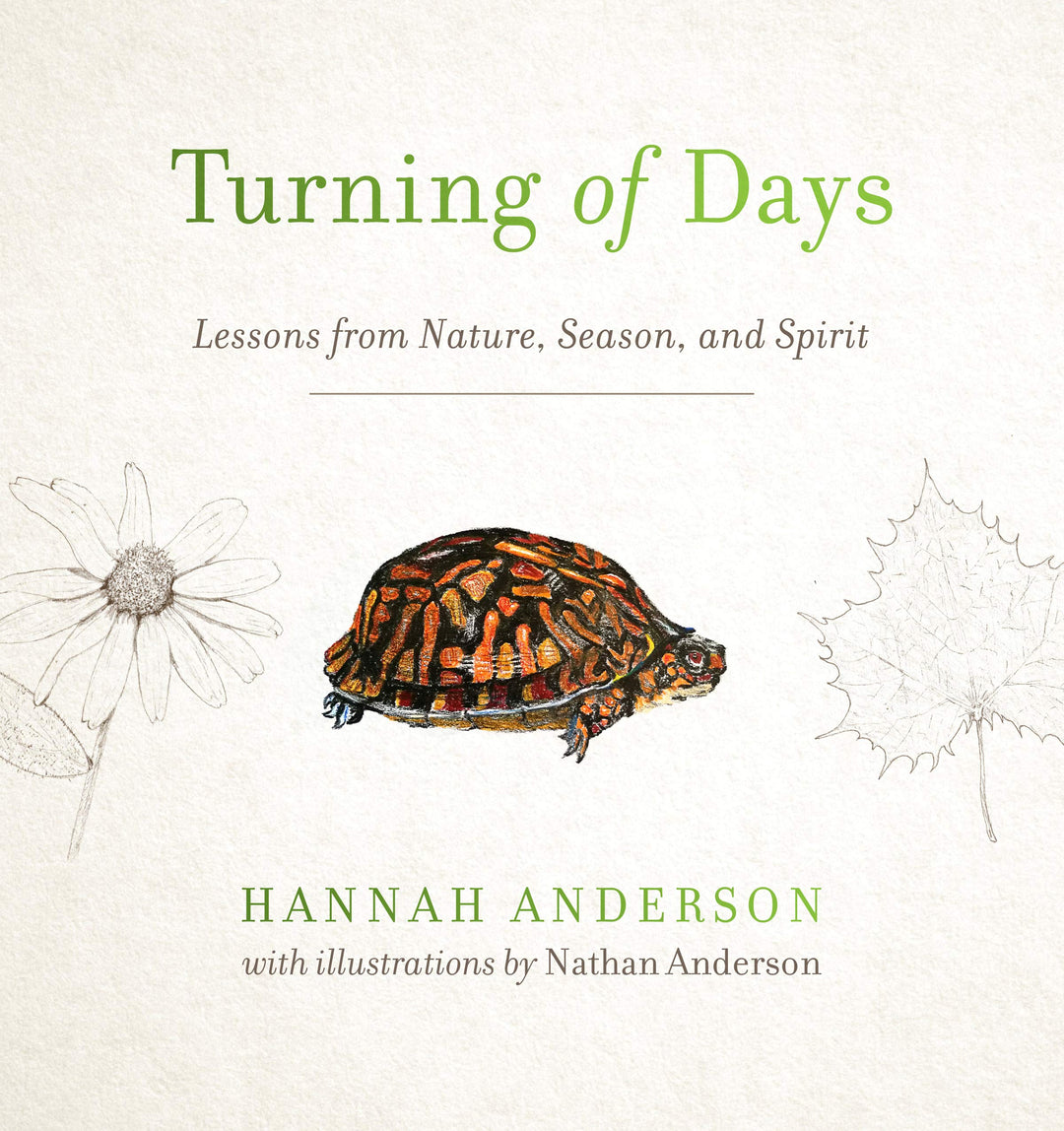 Turning of Days - Re-vived