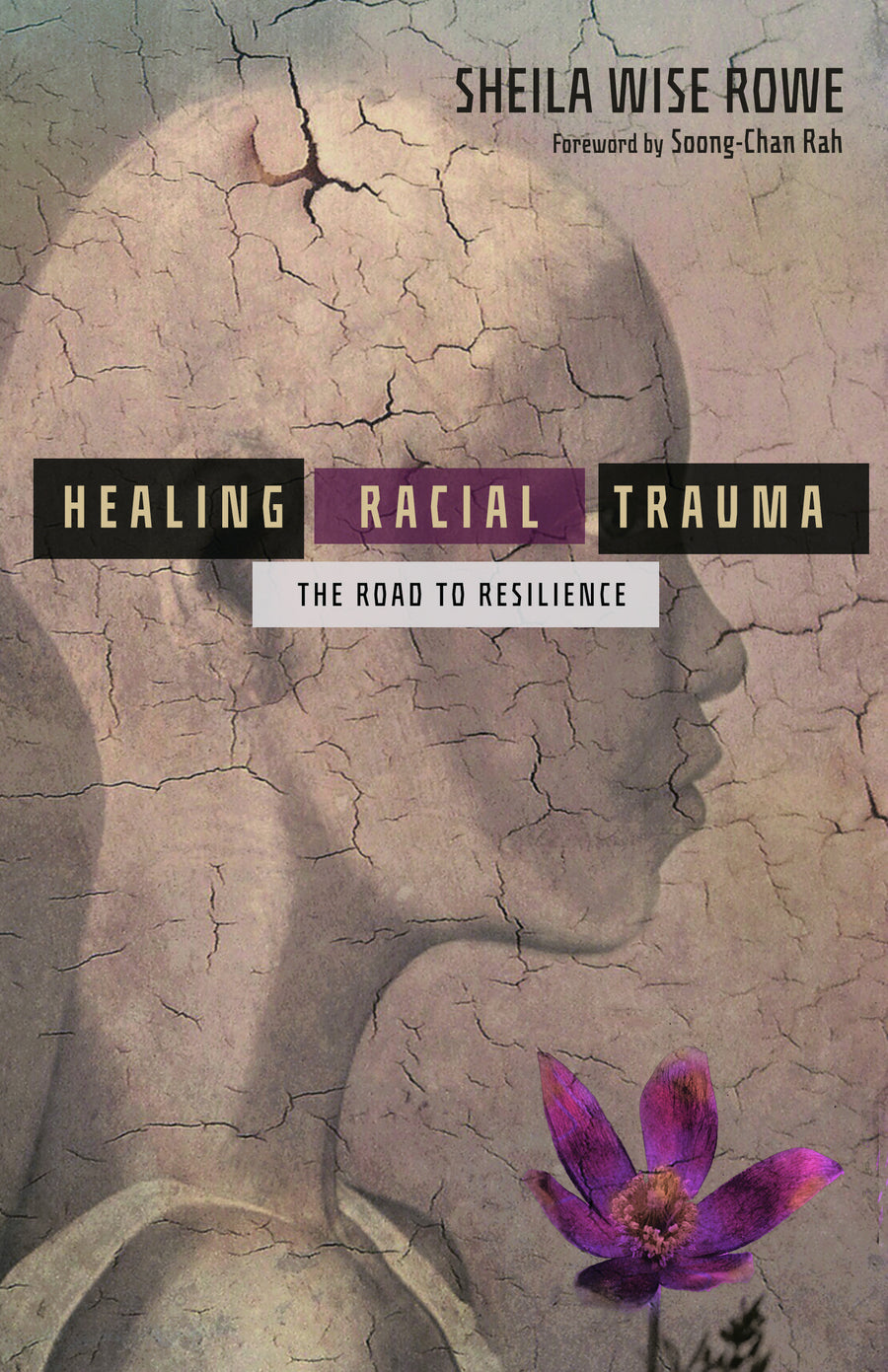 Healing Racial Trauma - Re-vived